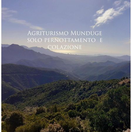 Munduge B&B Lotzorai Εξωτερικό φωτογραφία