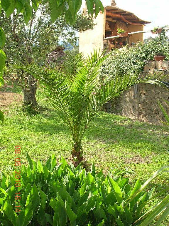 Munduge B&B Lotzorai Εξωτερικό φωτογραφία