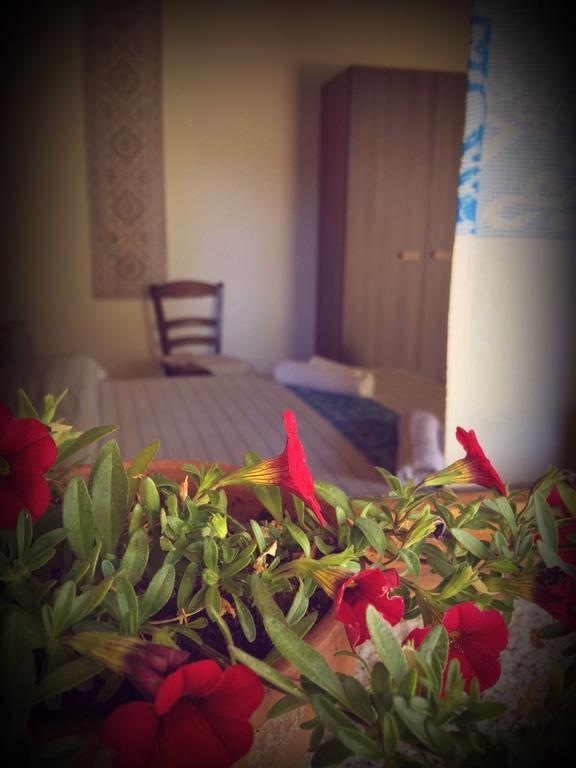 Munduge B&B Lotzorai Εξωτερικό φωτογραφία