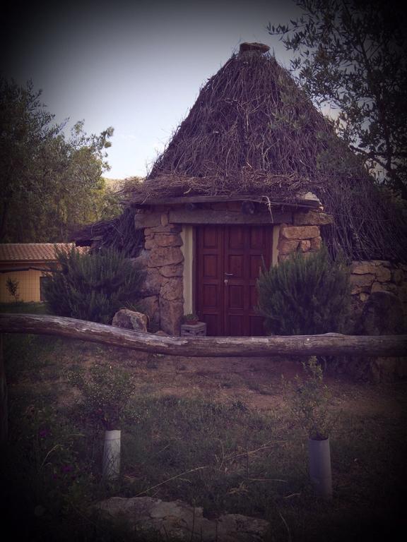 Munduge B&B Lotzorai Εξωτερικό φωτογραφία