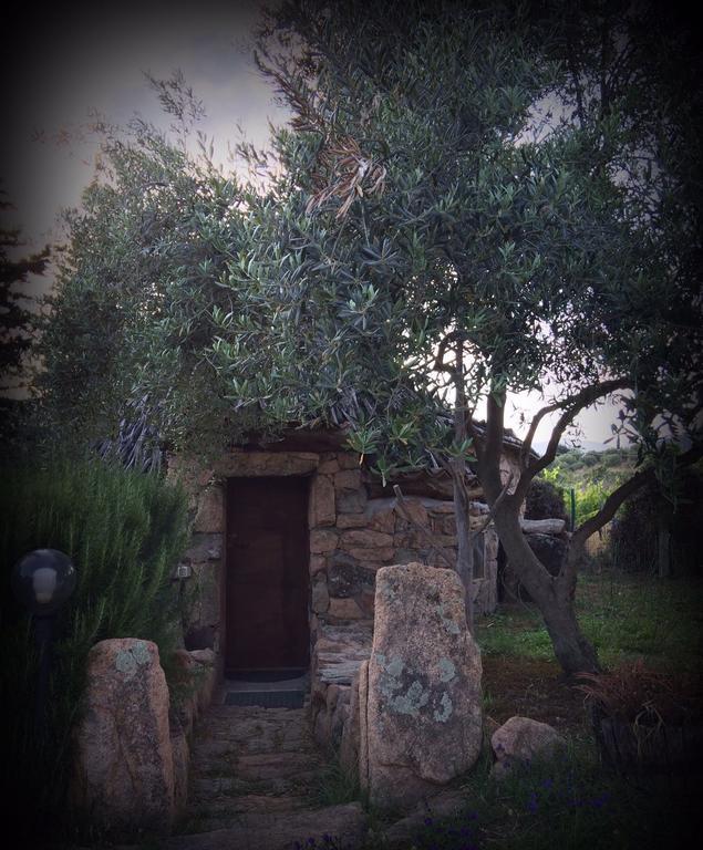 Munduge B&B Lotzorai Εξωτερικό φωτογραφία