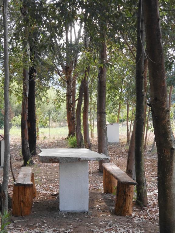 Munduge B&B Lotzorai Εξωτερικό φωτογραφία
